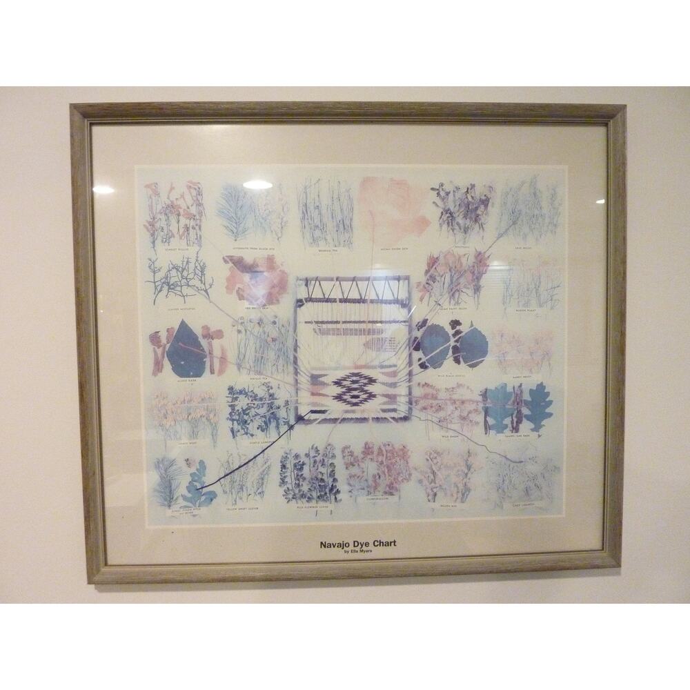 Vintage Framed Navajo Plant Dye Chart Print Ella Myers